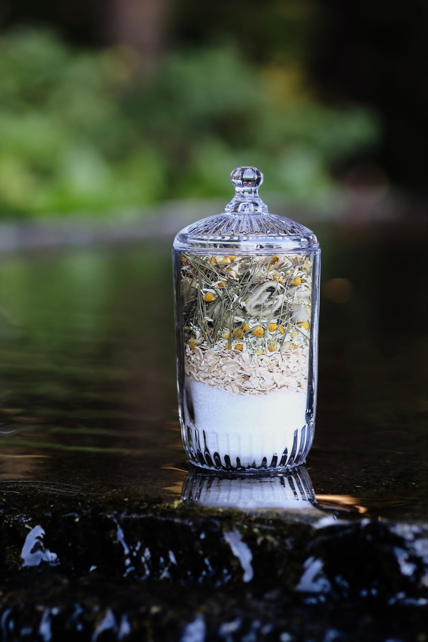 Glass jar with a lid filled with white epsom salts and chamomile flowers pine, and mullein herbs, placed on a reflective water surface with blurred greenery in the background.
