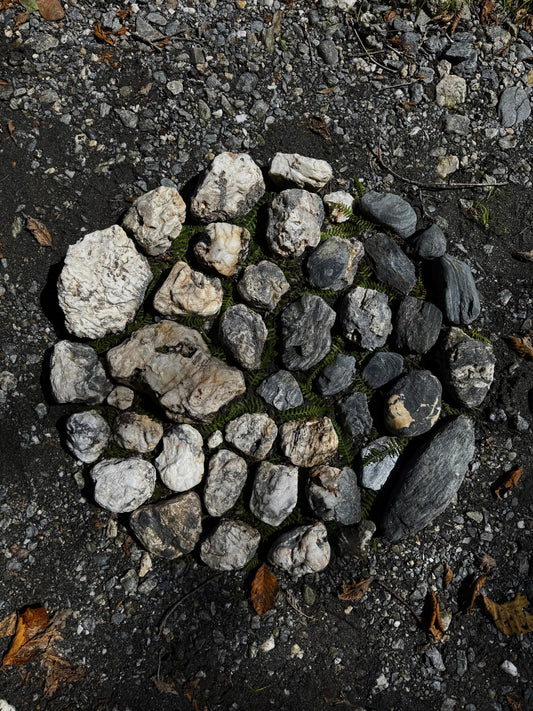 THE MOON'S WISDOM, A REFLECTION OF LUNAR SELF-CARE