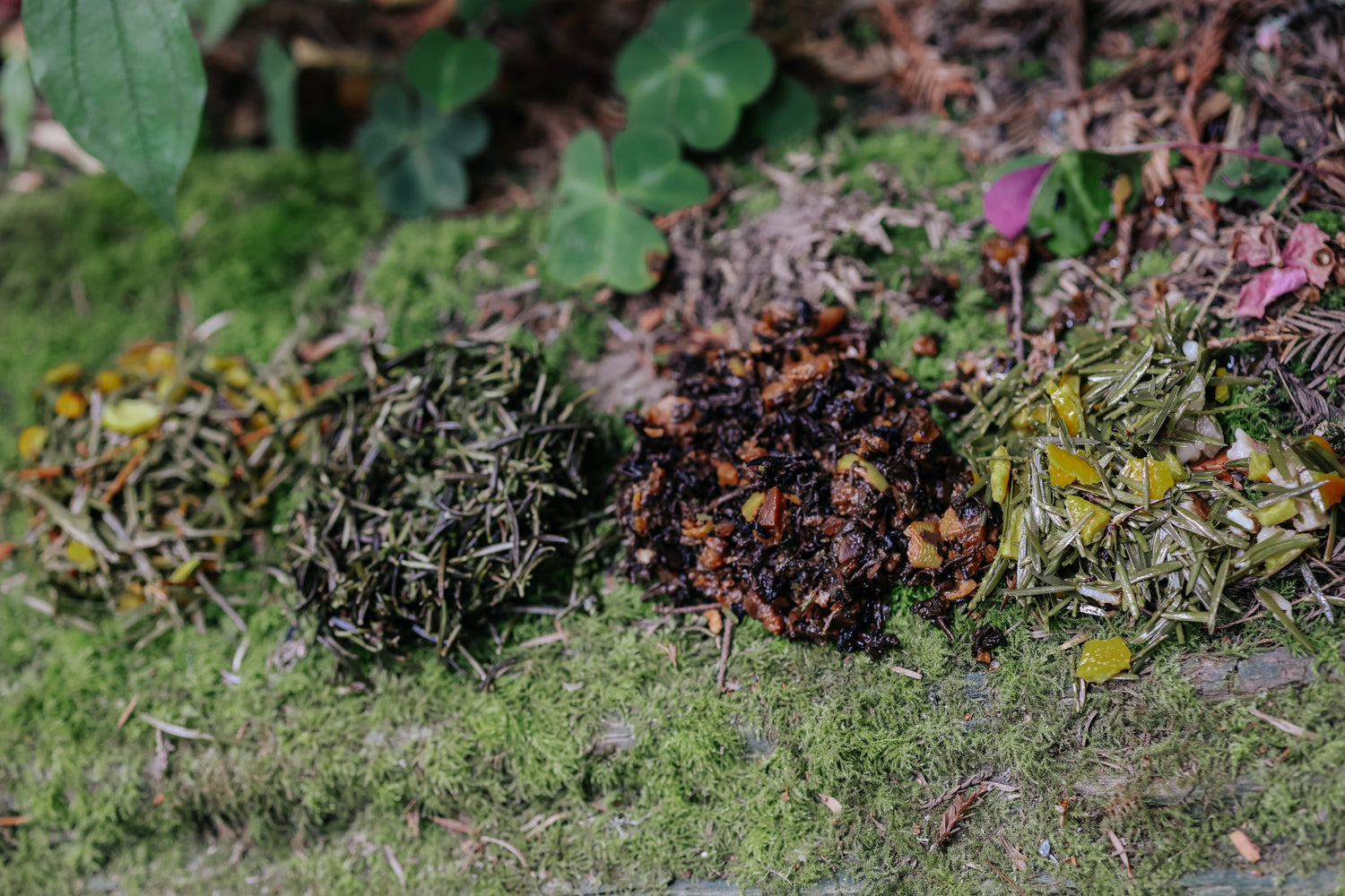 CRONE SIGNATURE TEAS