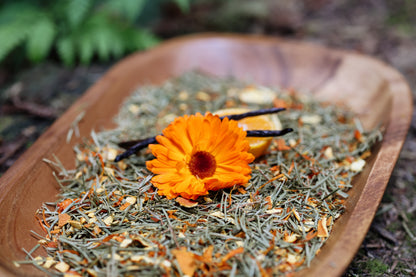 CREAMSICLE FIR NOSTALGIA