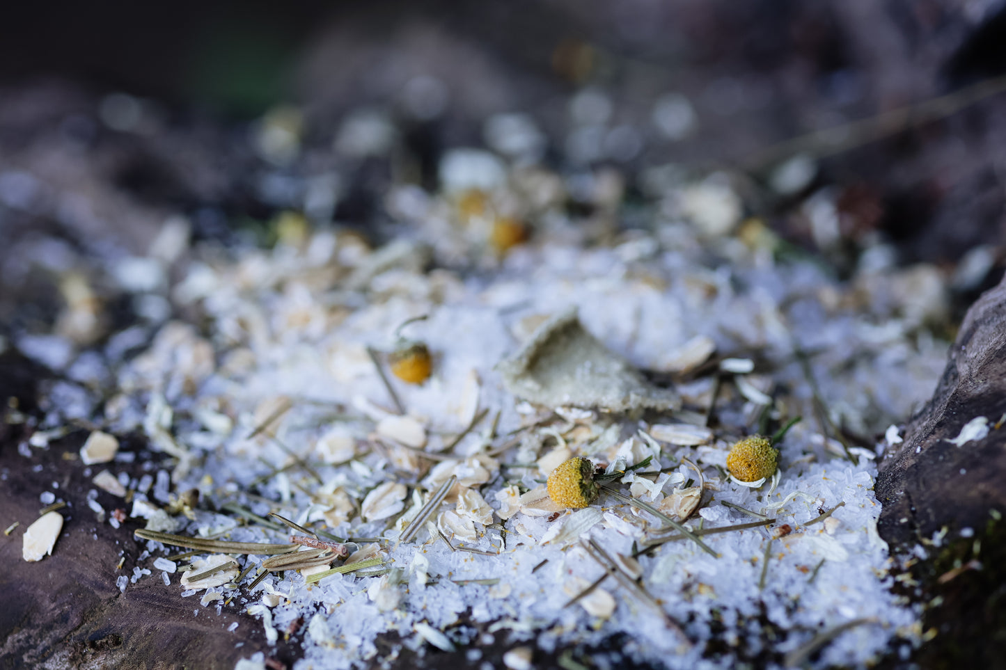 BREATH OF THE NEEDLES