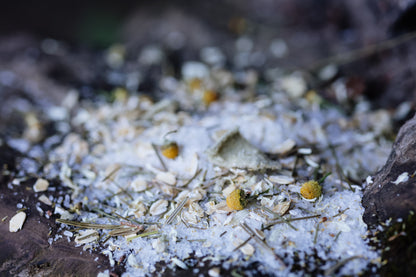 BREATH OF THE NEEDLES