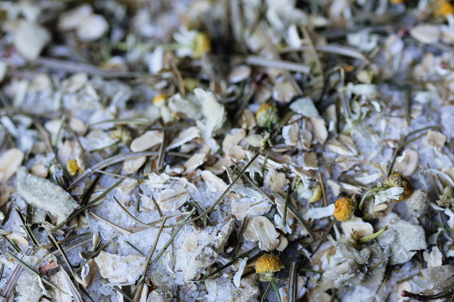 BREATH OF THE NEEDLES