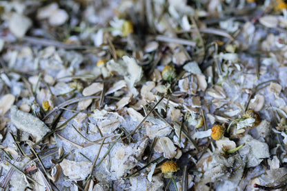 BREATH OF THE NEEDLES