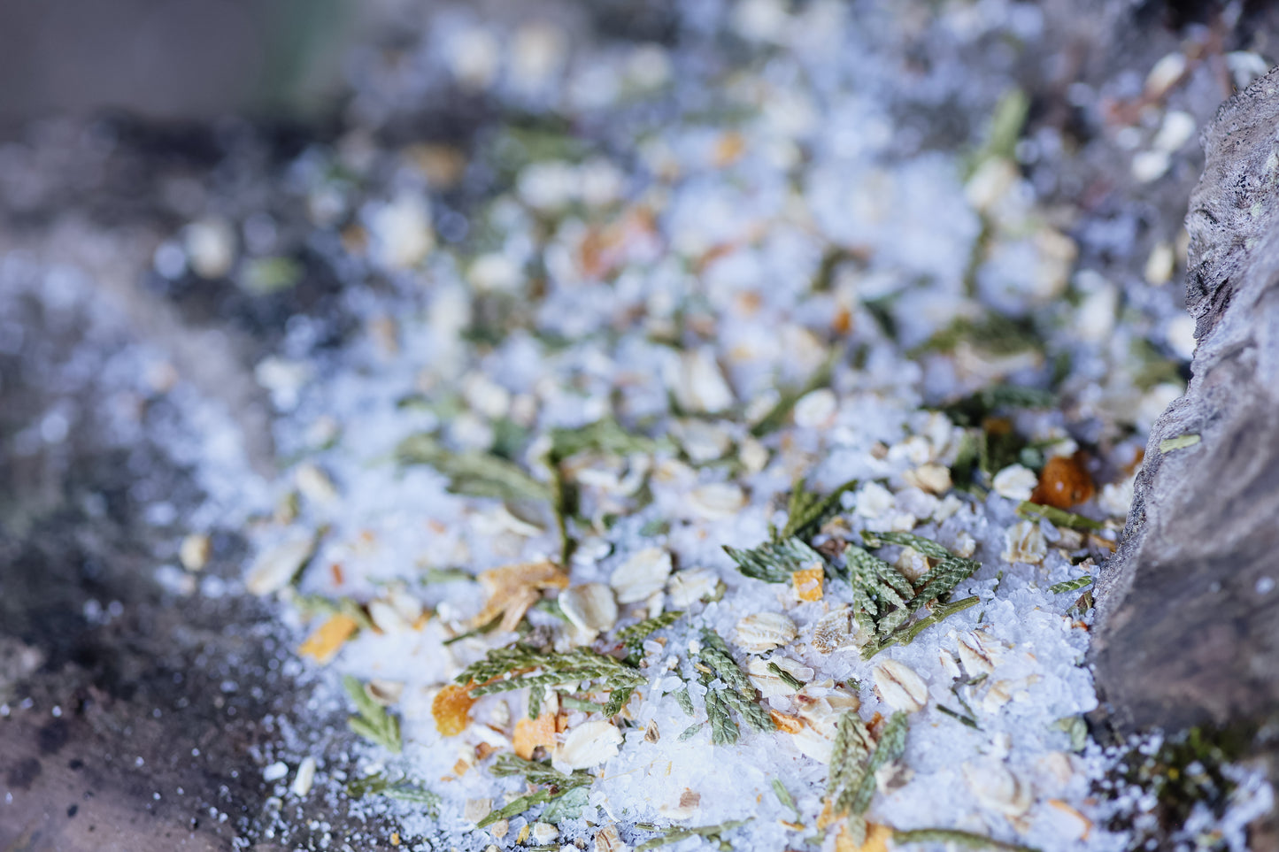 IGNITED IN THE CEDARS