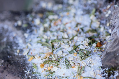 IGNITED IN THE CEDARS