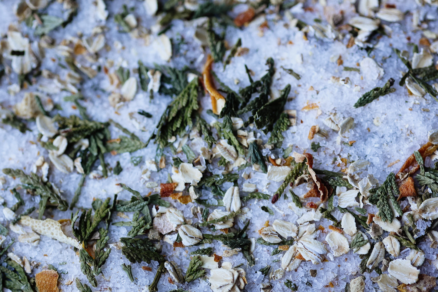 IGNITED IN THE CEDARS