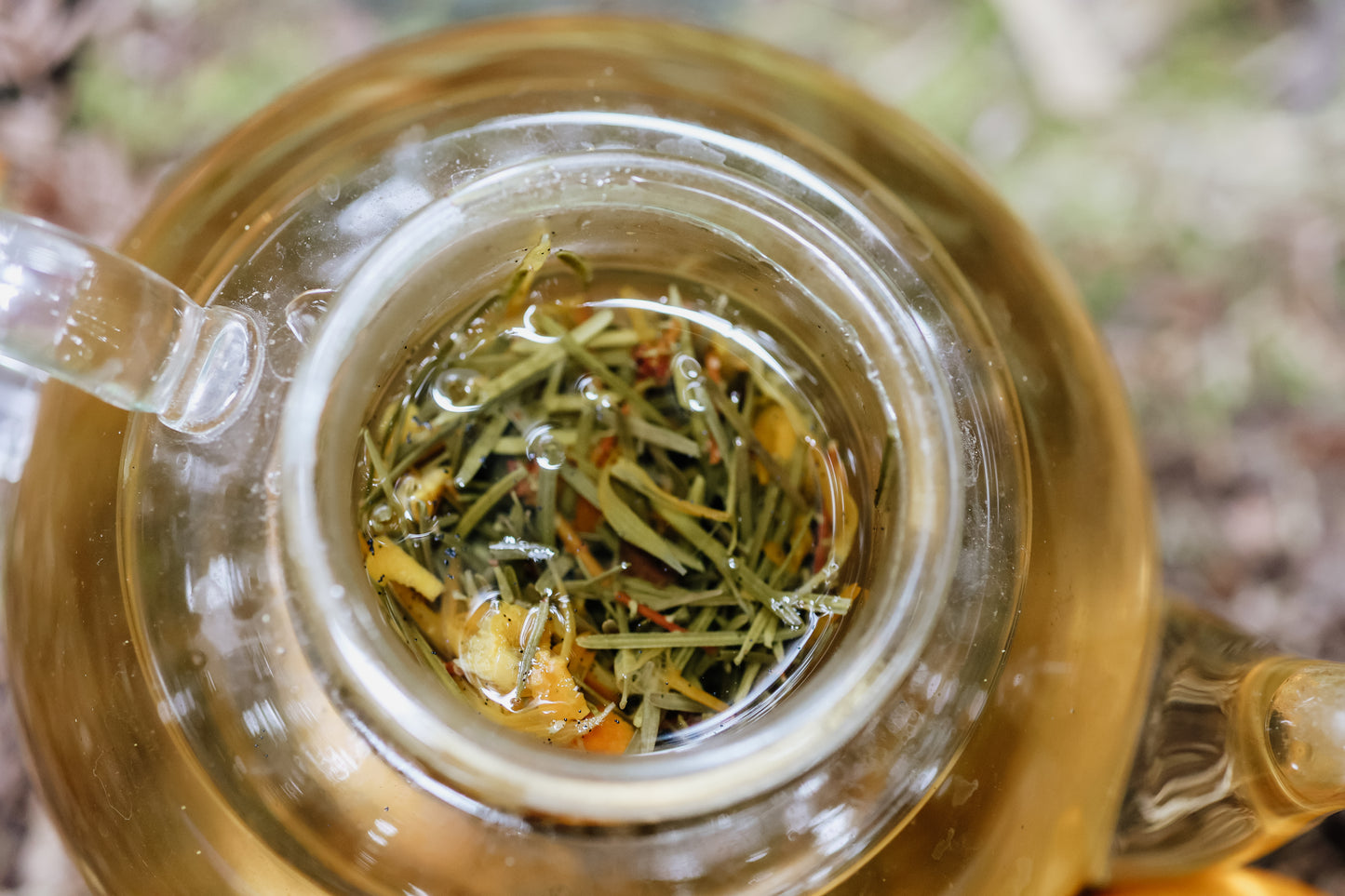 CREAMSICLE FIR NOSTALGIA